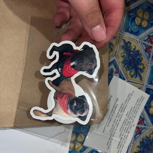Lily added a photo of their purchase