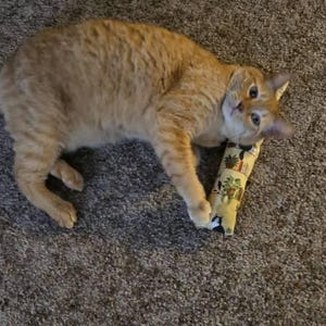 Autumn added a photo of their purchase