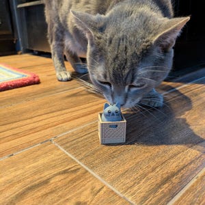 Morgan added a photo of their purchase
