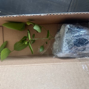 Sre added a photo of their purchase