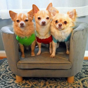 Reggie added a photo of their purchase