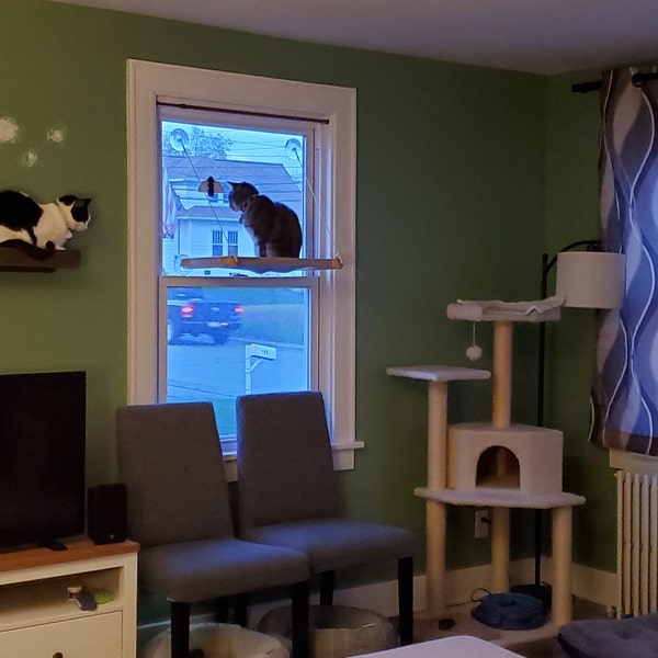 Cat Window Perch, Cat Window Hammock, Cat Window Ledge, Cat Window Bed