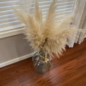 pampas stems