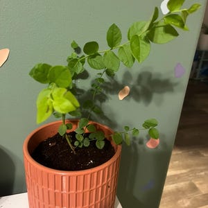 Mark added a photo of their purchase