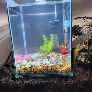 becky added a photo of their purchase