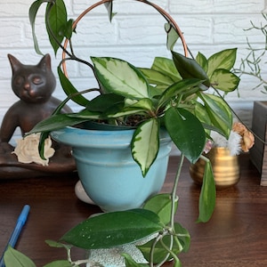 Dawn added a photo of their purchase