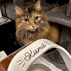 Catlin added a photo of their purchase
