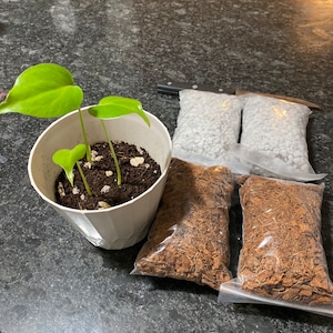 William added a photo of their purchase
