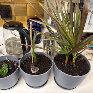 Rebecca ha añadido una foto de su compra