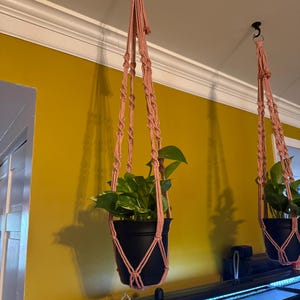 Cecily added a photo of their purchase