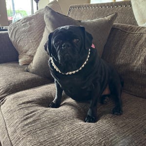 Marci added a photo of their purchase