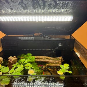 Cindy added a photo of their purchase