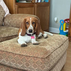 Sherry added a photo of their purchase