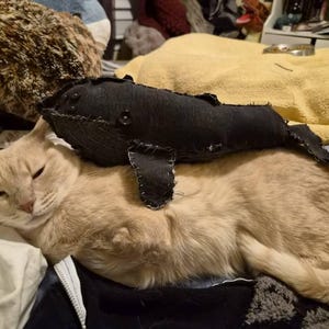 Lori ha aggiunto una foto del proprio acquisto