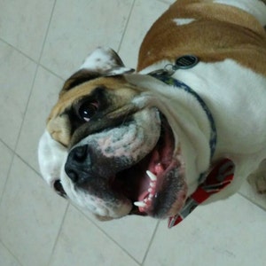 Heidi Brooks added a photo of their purchase