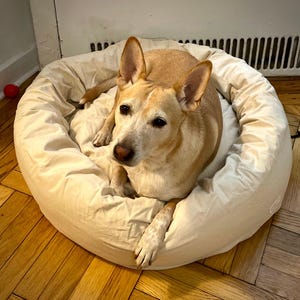 Comprador de Etsy ha añadido una foto de su compra