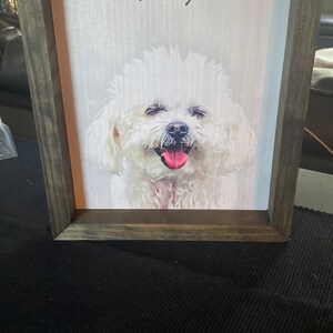 Terri adicionaram uma foto da sua compra