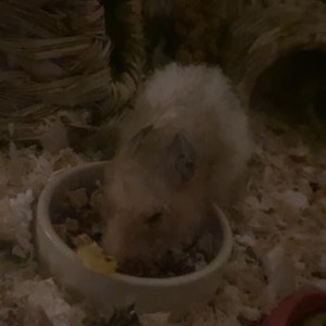 Simara added a photo of their purchase