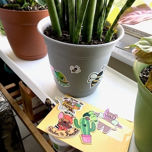 Rewa added a photo of their purchase