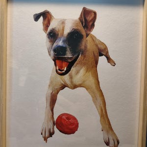 Gracie added a photo of their purchase