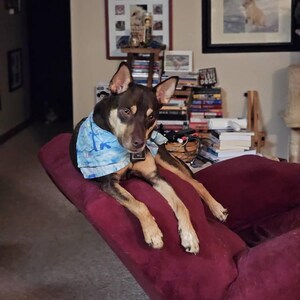 Etsy buyer added a photo of their purchase