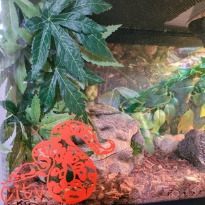 Tara added a photo of their purchase