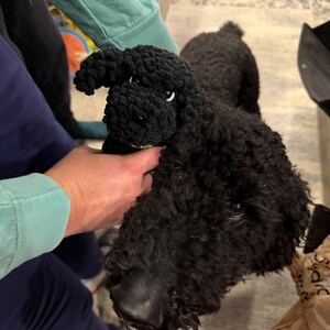 トイプードルのルーカス：かぎ針編みの子犬の編み図（PDFパターン