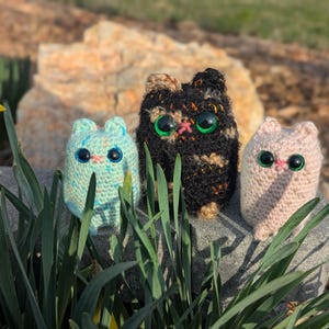 Cat added a photo of their purchase