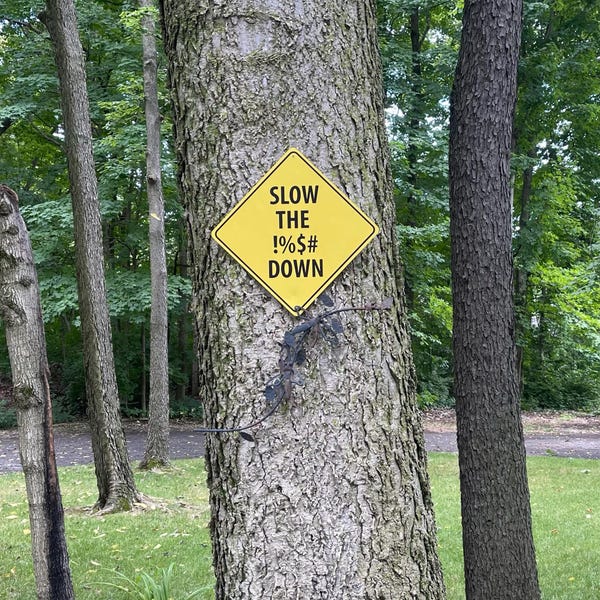 slow-down-sign-caution-slow-sign-slow-sign-road-crossing-sign