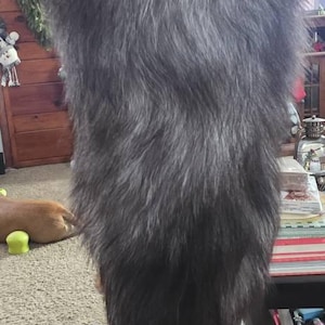 Samantha added a photo of their purchase