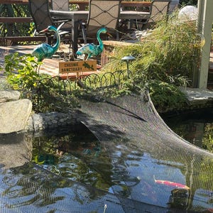 Vicky ha añadido una foto de su compra