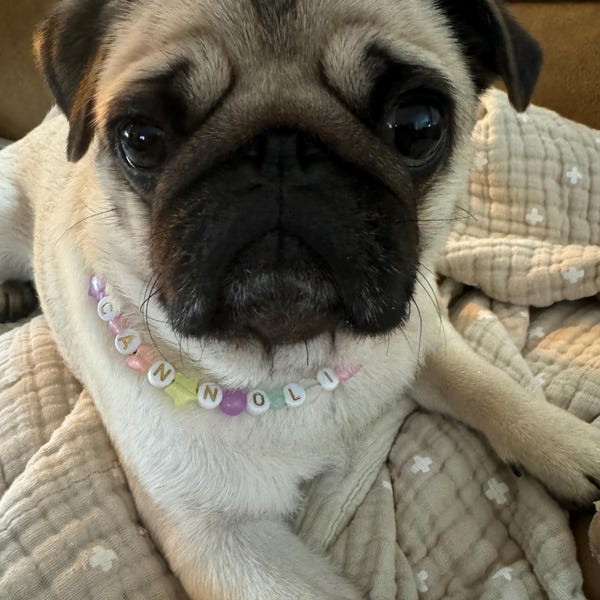 Dog Beaded Necklace, Dog and Owner Necklace, Bead Dog Collar, Custom