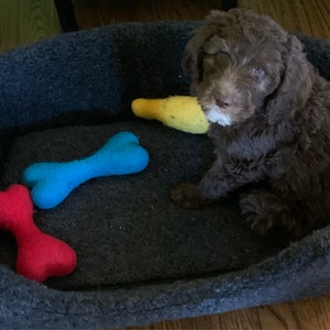 Dr. added a photo of their purchase