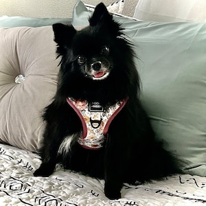 Jessi added a photo of their purchase