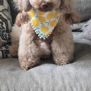 L added a photo of their purchase
