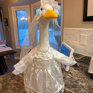 Megan heeft een foto van zijn/haar aankoop toegevoegd