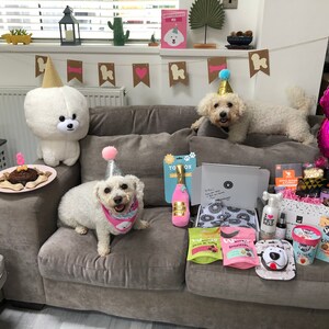 Molly added a photo of their purchase