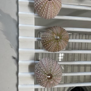 Jocelyne added a photo of their purchase