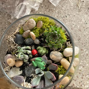 Sam added a photo of their purchase