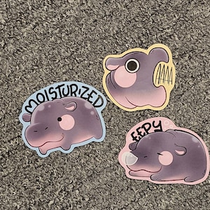 And added a photo of their purchase