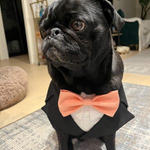 Kaitlin ha añadido una foto de su compra