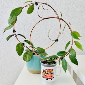 Yuki added a photo of their purchase