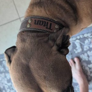 Lucas heeft een foto van de aankoop toegevoegd