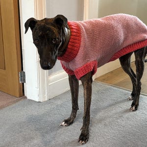 Gillian さんが購入した商品の写真を追加しました