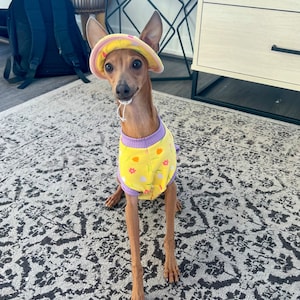 Courtney added a photo of their purchase