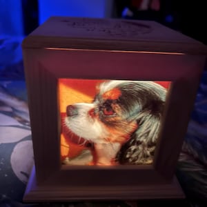 Terry ha añadido una foto de su compra