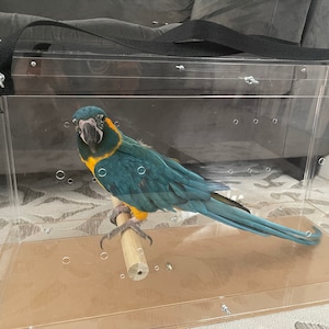 Matthew ha añadido una foto de su compra