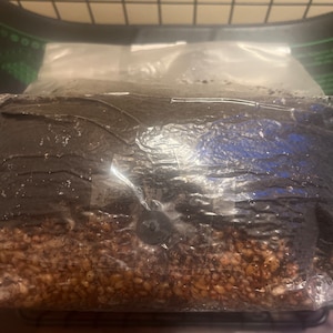 Brooke added a photo of their purchase