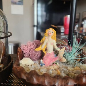 Kim added a photo of their purchase