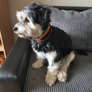 Vivien added a photo of their purchase